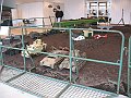 IMG_7456