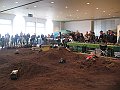 IMG_7513